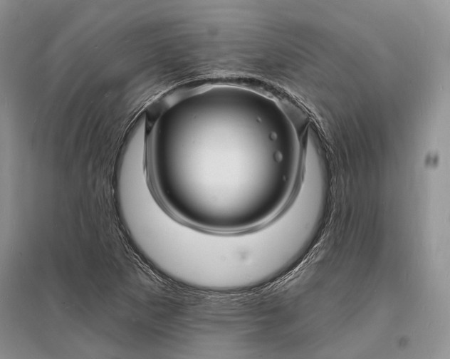 X0000096391265200802071528