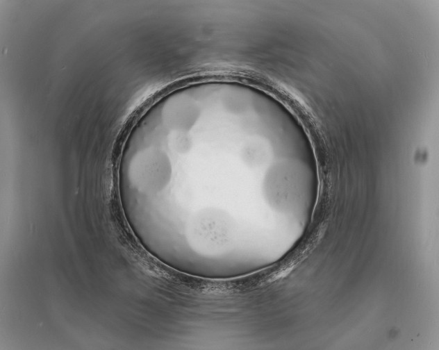 X0000096391267200802071528
