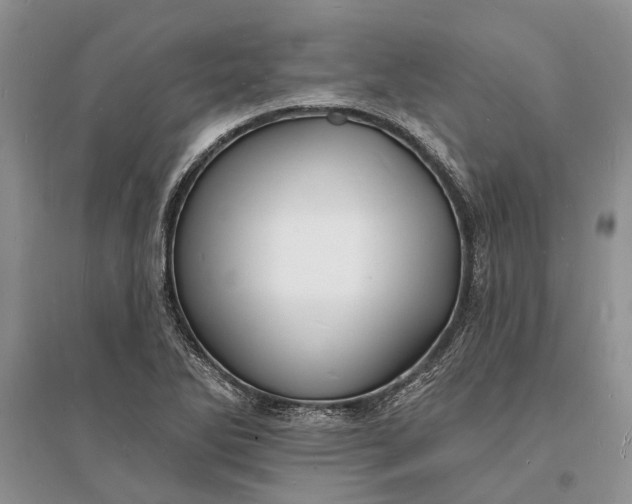 X0000096391270200802071528