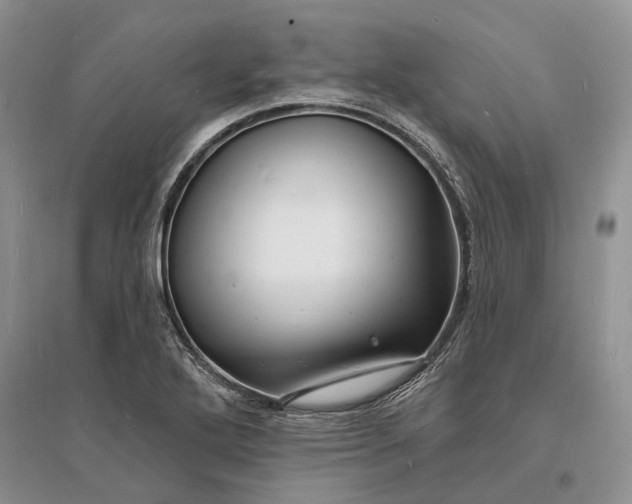 X0000096391272200802071528