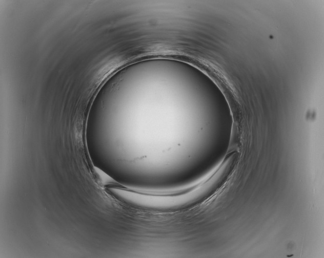 X0000096391273200802071528