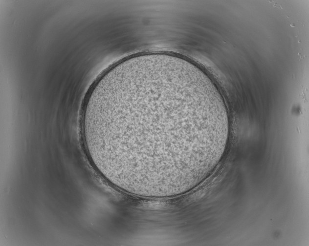 X0000096391278200802071528