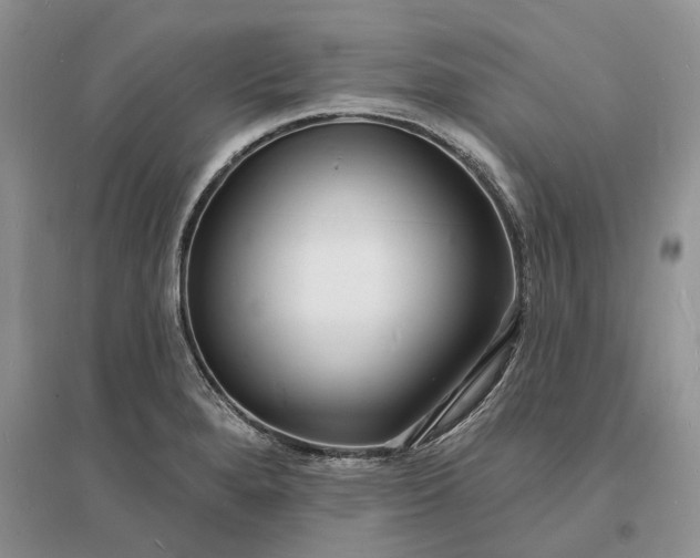 X0000096391280200802071528