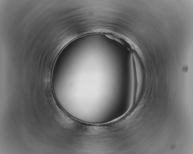 X0000096391281200802071528