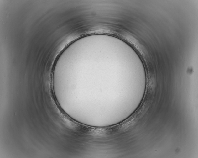 X0000096391282200802071528