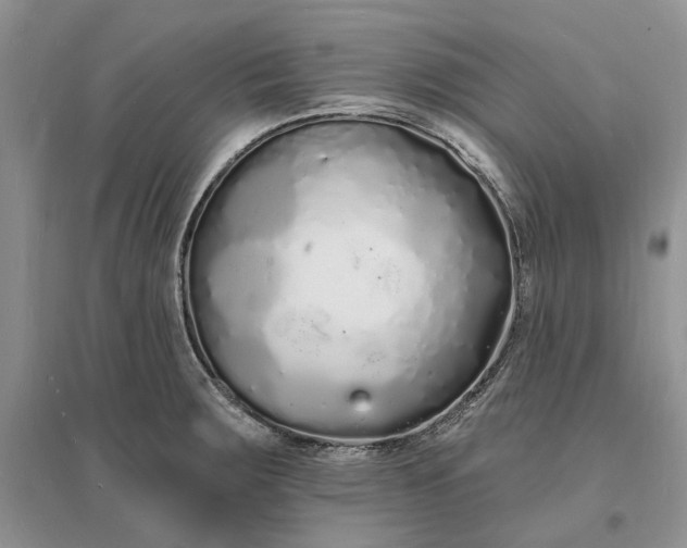 X0000096391283200802071528