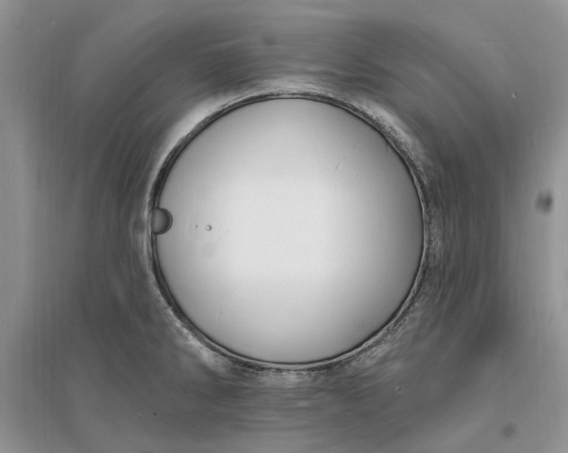 X0000096391286200802071528