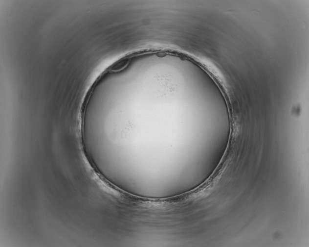 X0000096391287200802071528
