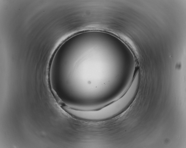 X0000096391288200802071528