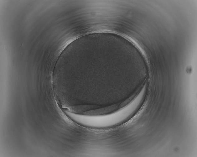 X0000096391289200802071528