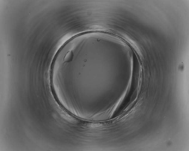 X0000096391291200802071528