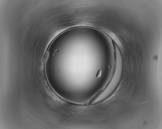 X0000096391292200802071528