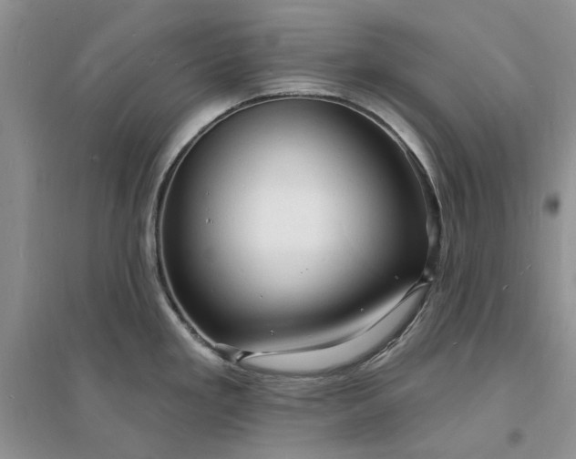 X0000096391293200802071528