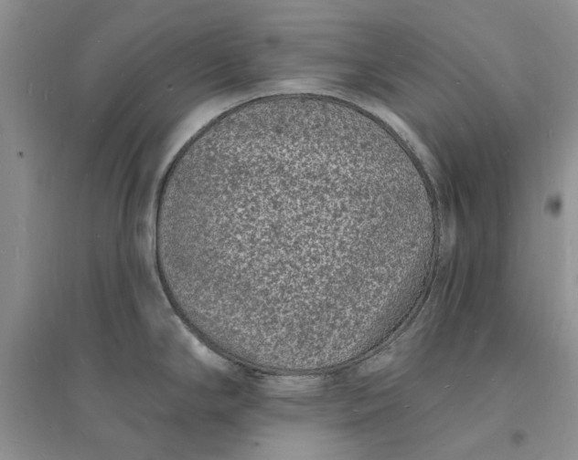 X0000096391294200802071528