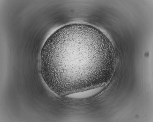X0000096391295200802071528