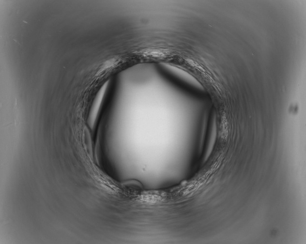X0000096391297200802071527