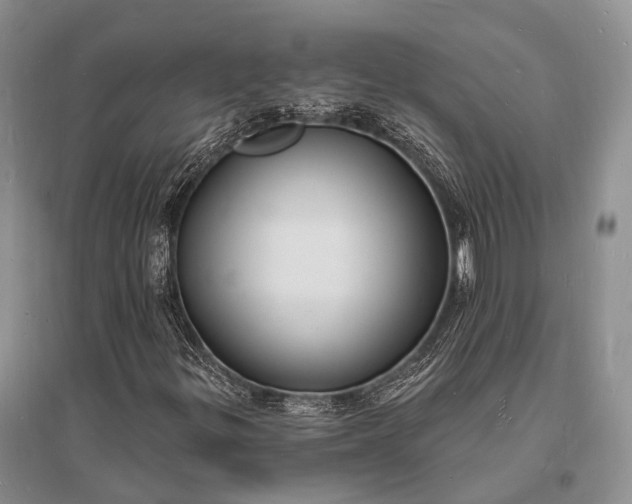 X0000096391299200802071527
