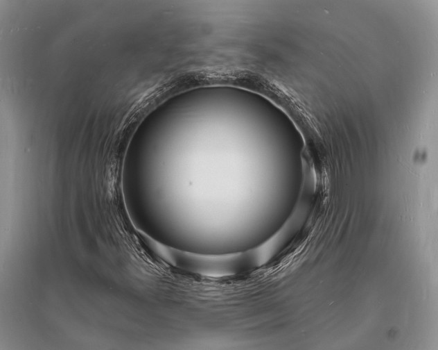X0000096391300200802071527