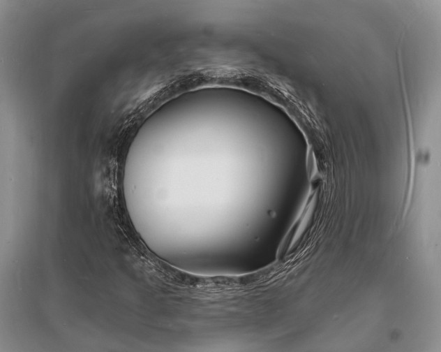 X0000096391301200802071527