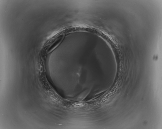X0000096391303200802071527