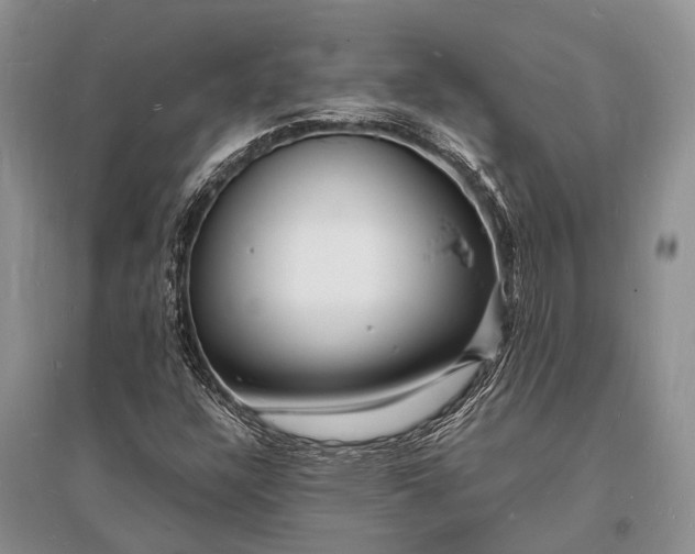 X0000096391304200802071527
