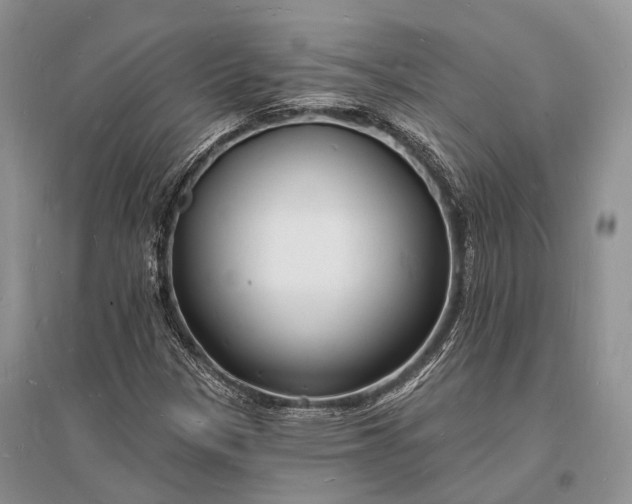 X0000096391305200802071527