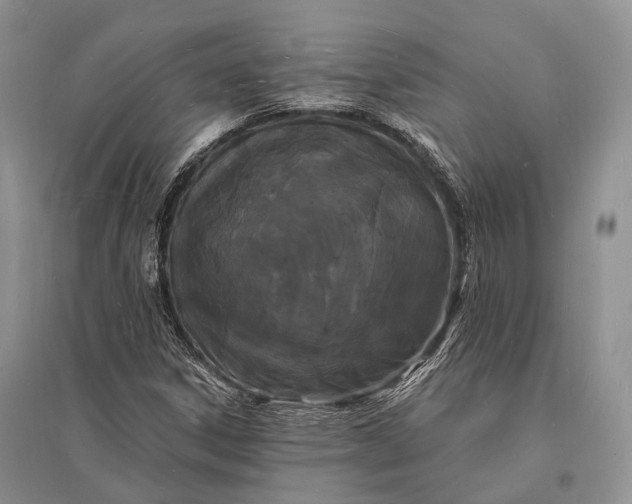 X0000096391306200802071527
