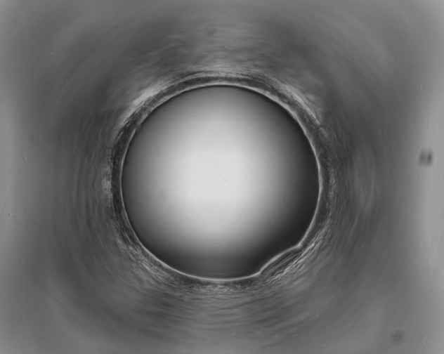 X0000096391307200802071527