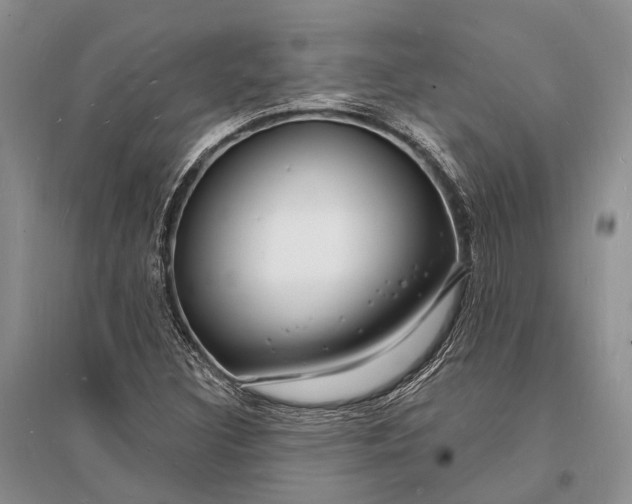X0000096391308200802071527