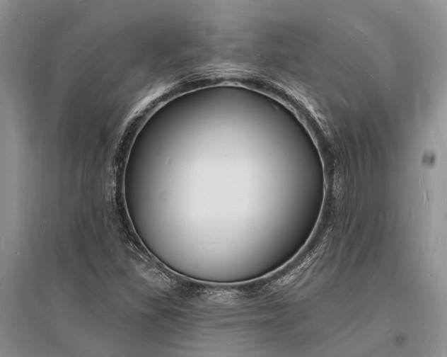 X0000096391309200802071527