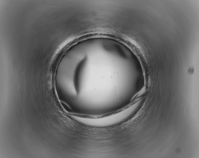 X0000096391310200802071527