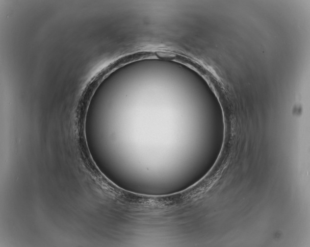 X0000096391311200802071527