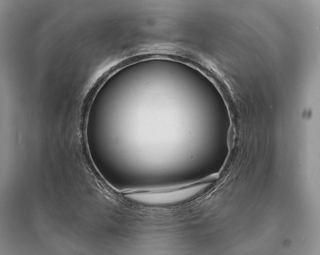 X0000096391312200802071527