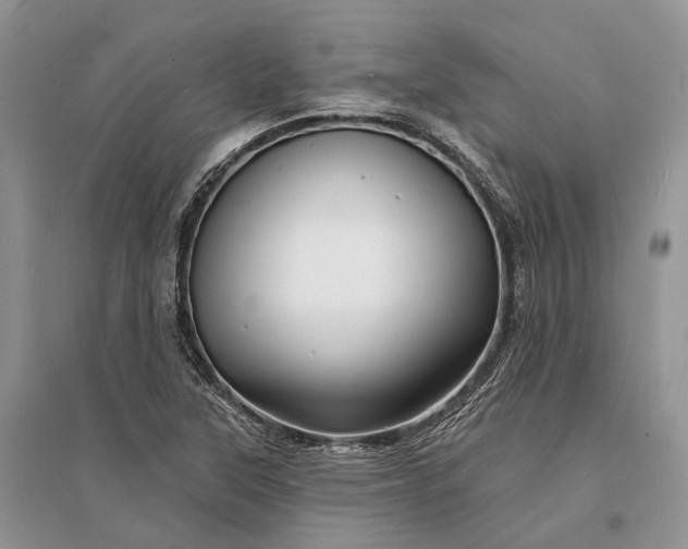 X0000096391315200802071527