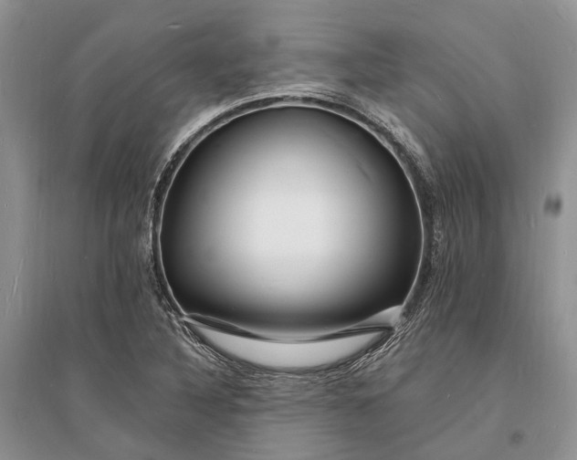 X0000096391316200802071527