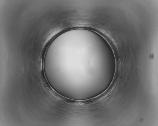 X0000096391317200802071527