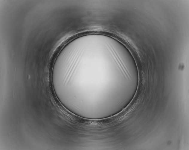 X0000096391318200802071527