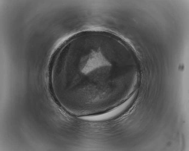 X0000096391319200802071527