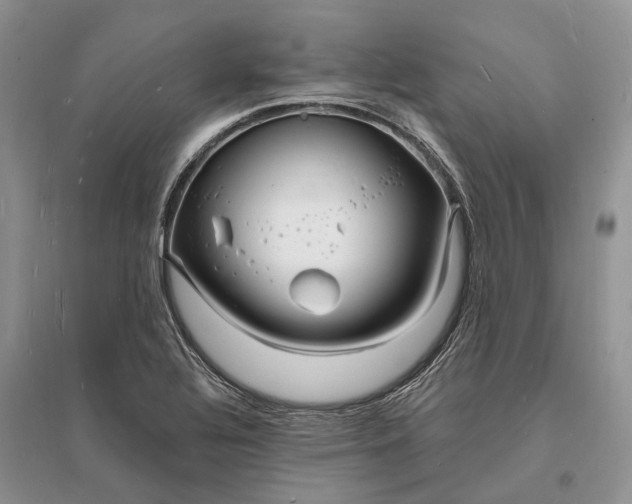 X0000096391320200802071527