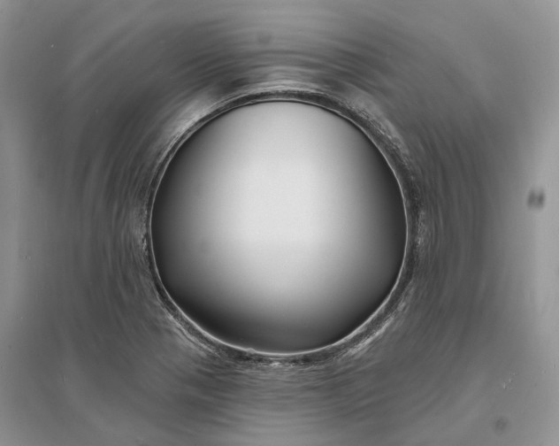 X0000096391321200802071527