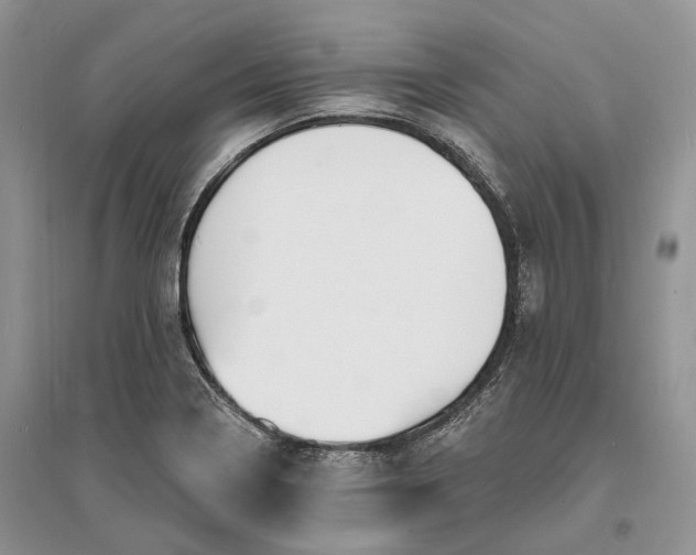 X0000096391322200802071527