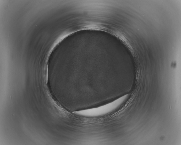 X0000096391323200802071527