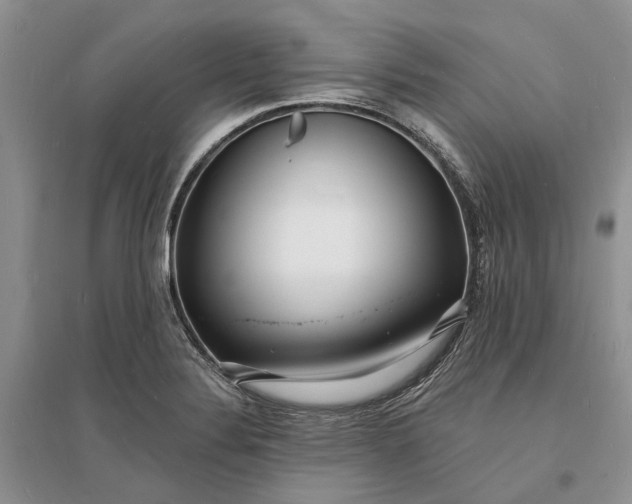 X0000096391324200802071527