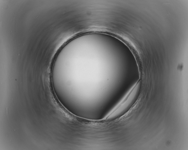 X0000096391325200802071527