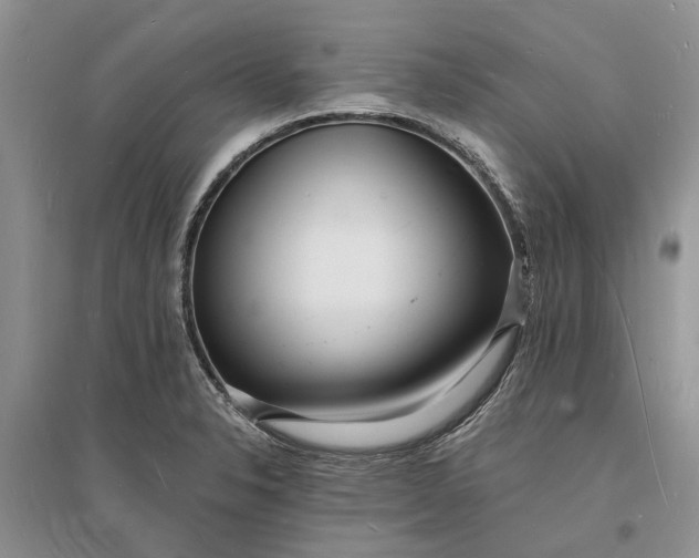 X0000096391326200802071527