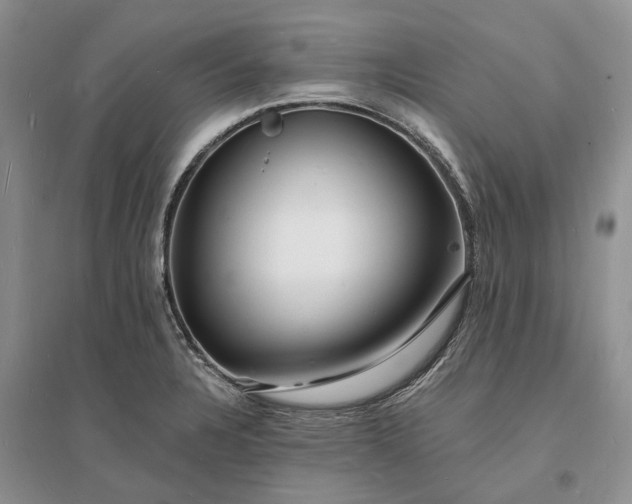 X0000096391328200802071527