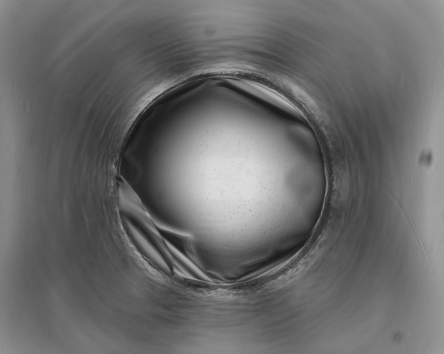 X0000096391329200802071527
