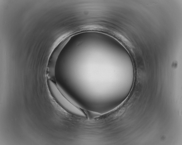 X0000096391330200802071527