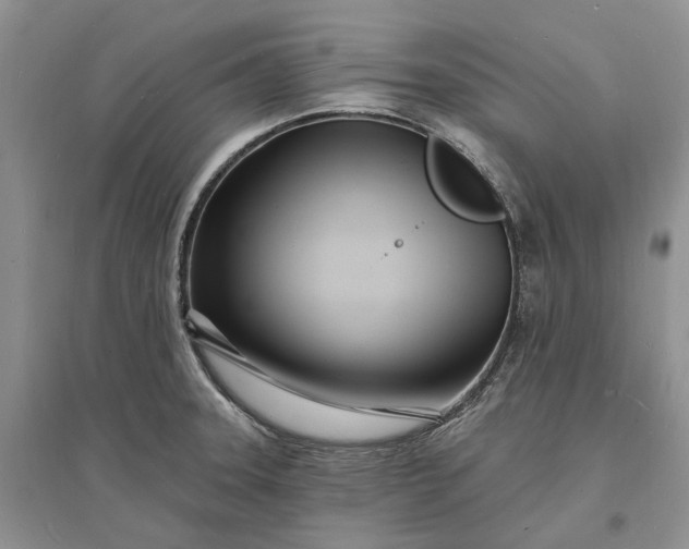 X0000096391331200802071527