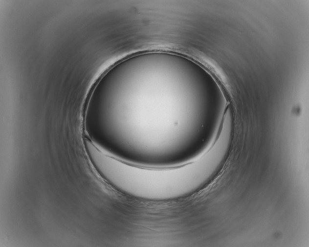 X0000096391332200802071528